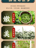 Mao Jian New Tea Xinyang Mao Jian Green Tea Spring Tea Green Tea Loose Leaf 250g