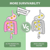 Slimming Tea Enzyme  Herbal Powder Flat Belly Lose Weight Detox Juice Tea 6g*12