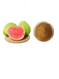 Guava Leaf Extract Powder 30:1 (Psidium Guajava) Water Soluble Plant Concentrate