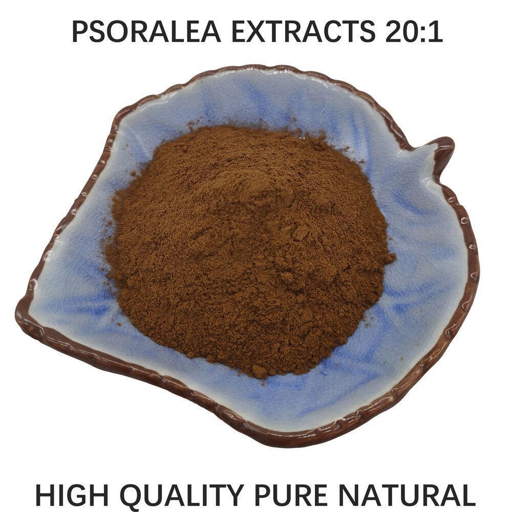 500g High quality Pure Psoralea Extract 20:1 Powder Sealed Packaging Main image