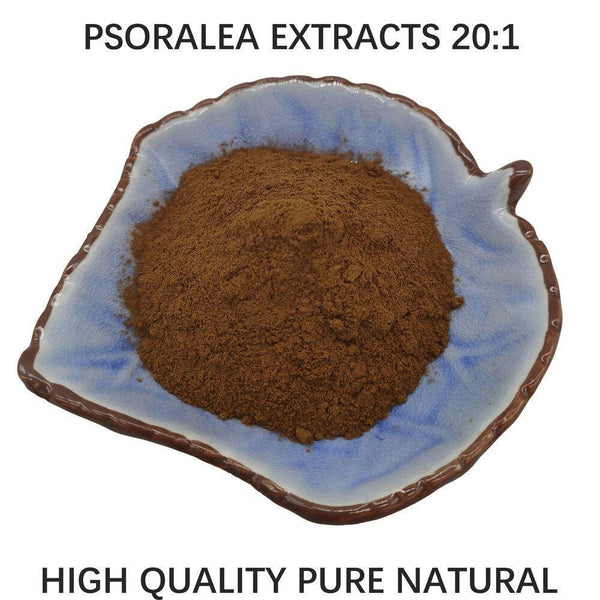 500g High quality Pure Psoralea Extract 20:1 Powder Sealed Packaging