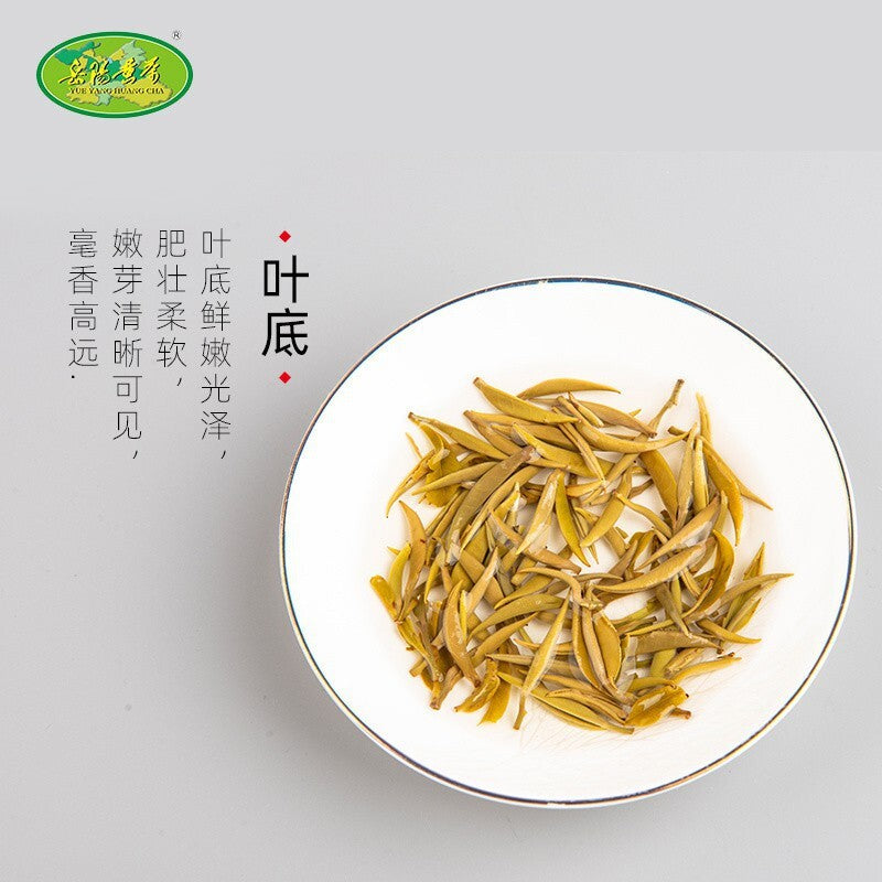 Junshan Silver Needle Bright Front New Tea Yellow Tea Small Canister 50g