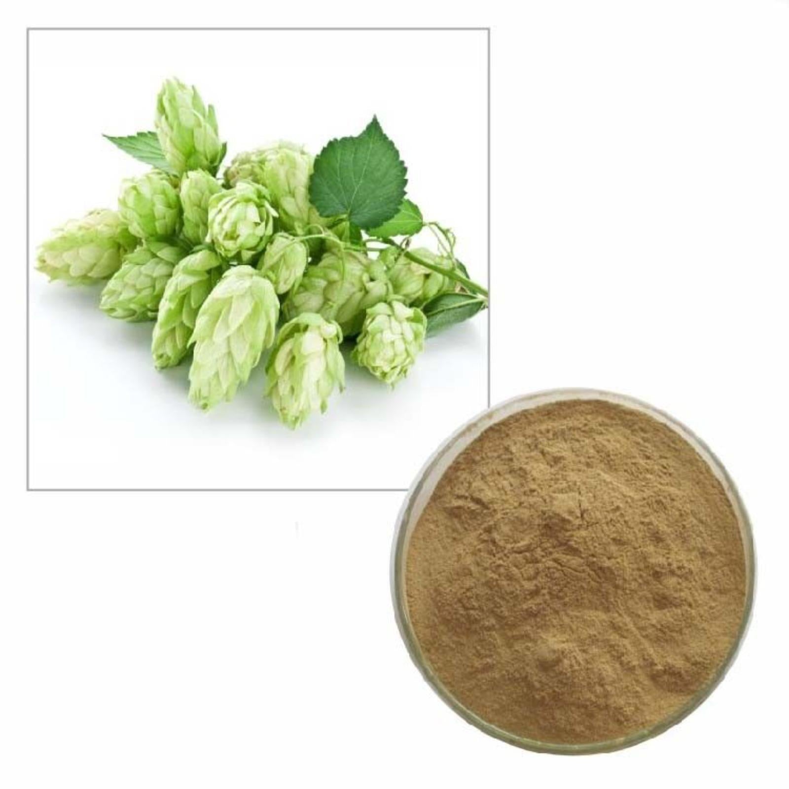 100g Pure Hops Strobile Extract Powder 10:1, Humulus Lupulus, High Quality Main image