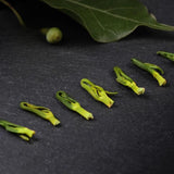 60g Selected from Jiangxi Lotus Core Lotus Heart Tea Canned and Bagged