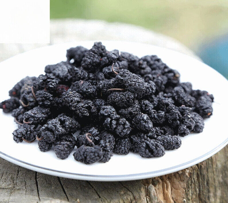 Sang Shen /桑葚/Mulberry Fruit Flower Tea / Dried Whole Mulberries 100% Natural Main image