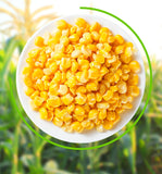 Sweet Corn Kernels – Instant Vacuum-Packed Snack
