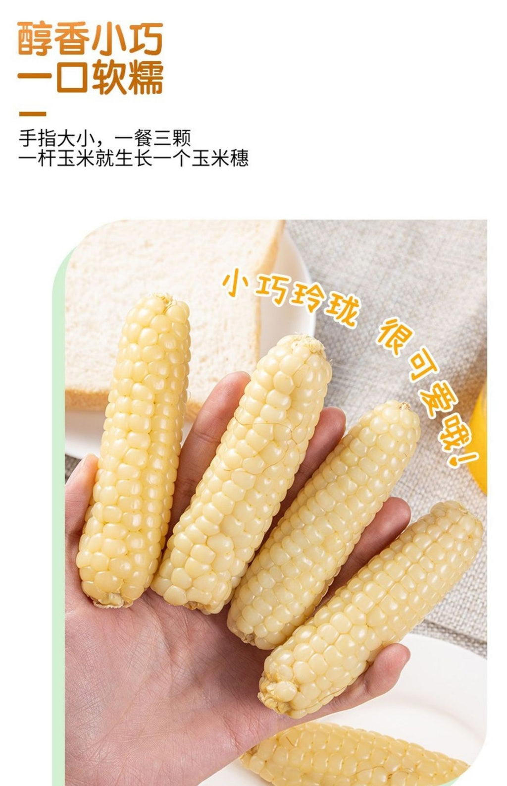 Yunnan Xishuangbanna Thumb Corn – Grade A Sticky Dai Specialty (500g)