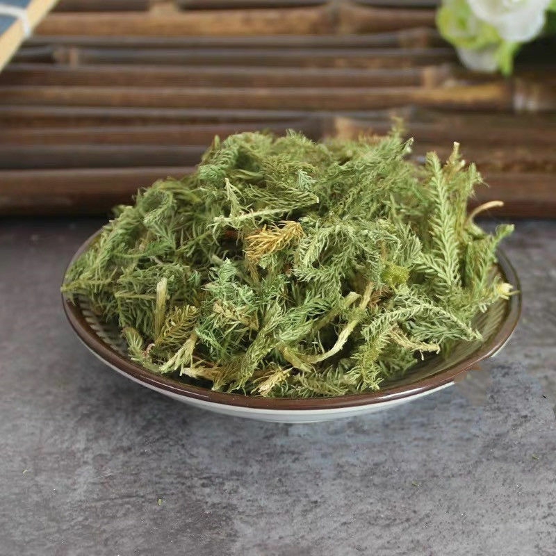 New Organic Shenjincao Organic Herbal Tendongrass Natural Herbal Tea 500g/1.1LB