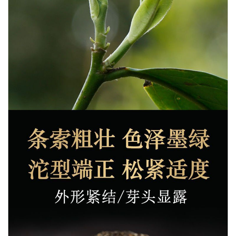 Xiaguan Tuo Cha Shen Pu-erhChaPu'er Tea Puer Tea100g/Box Dali Tuocha