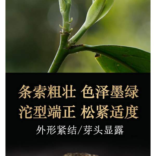Xiaguan Tuo Cha Shen Pu-erhChaPu'er Tea Puer Tea100g/Box Dali Tuocha