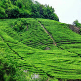 100g Small Gold Ball Black Tea Organic Dianhong Bud Tea China Yunnan Specialty