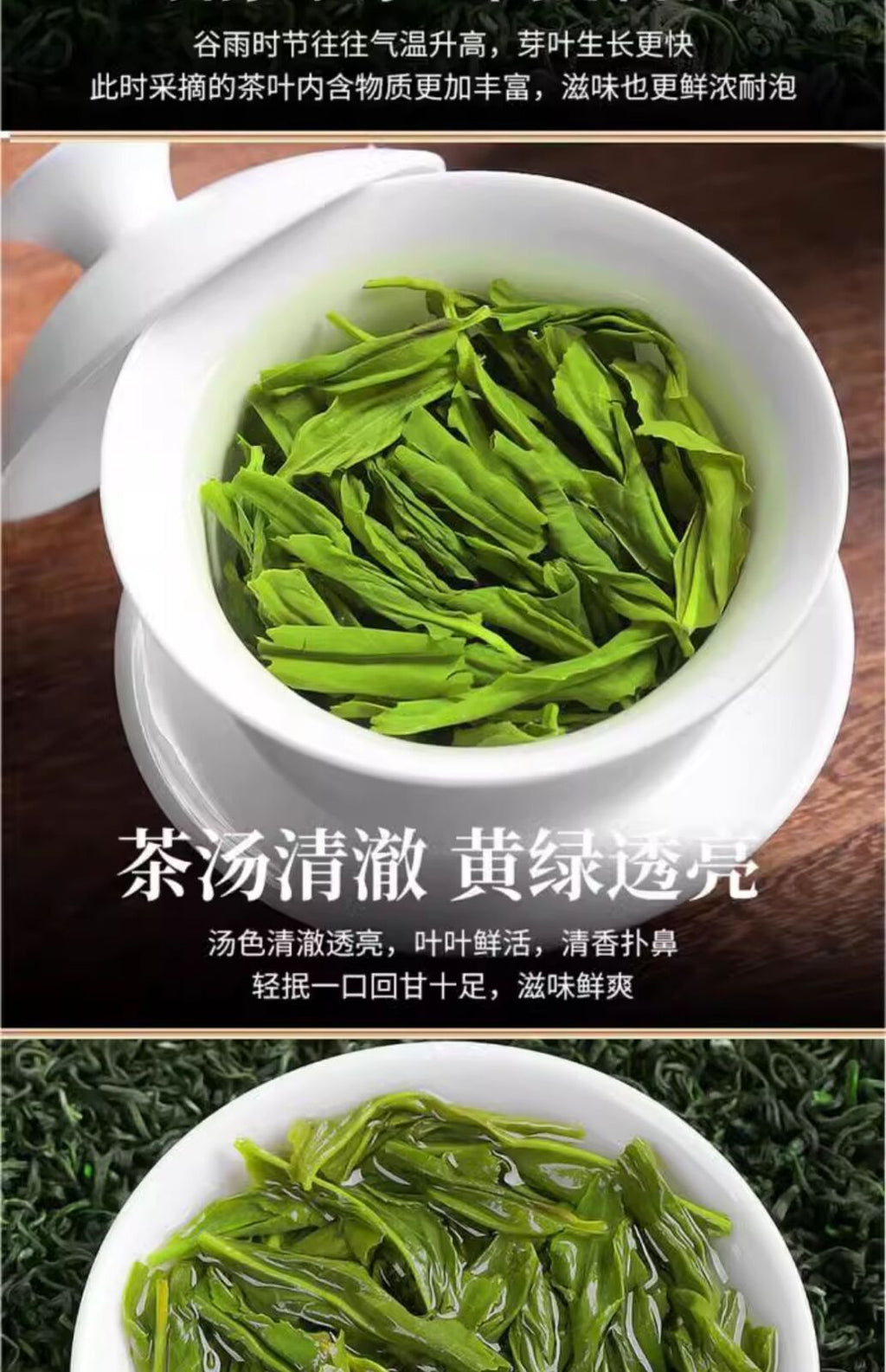 High Mountain Cloud Tea 2025 New Spring Green Tea Fragrant Maojian Loose Leaf