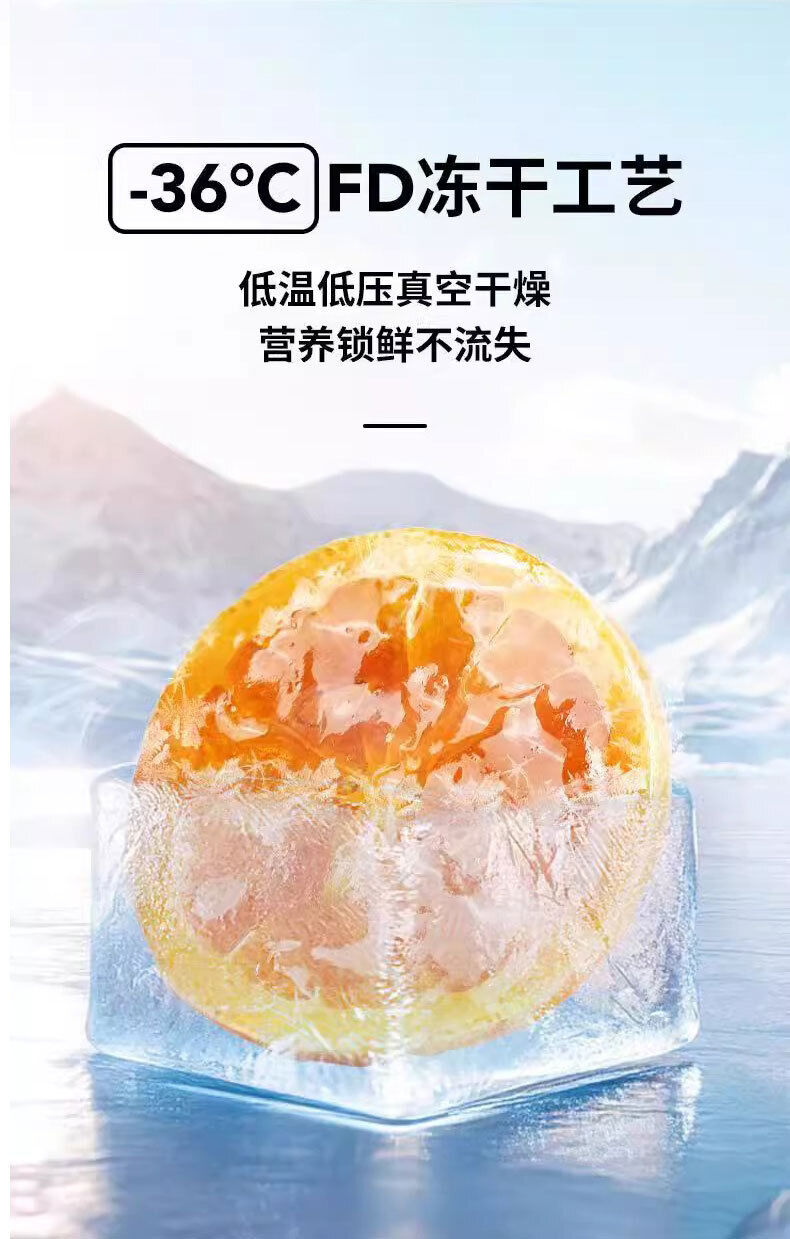 Freeze Dried Fruit Tea with Brown Sugar Lemon Slices Individually Packed