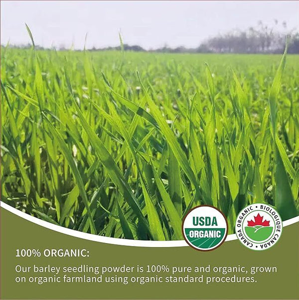 250g Gerstengraspulver 100% rein & biologisch natürliches Gras Gewichtsverlust