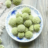 Green Flower Tea Snow Lily Tibetan Green Flower Tea Chinese Specialty Herbal tea