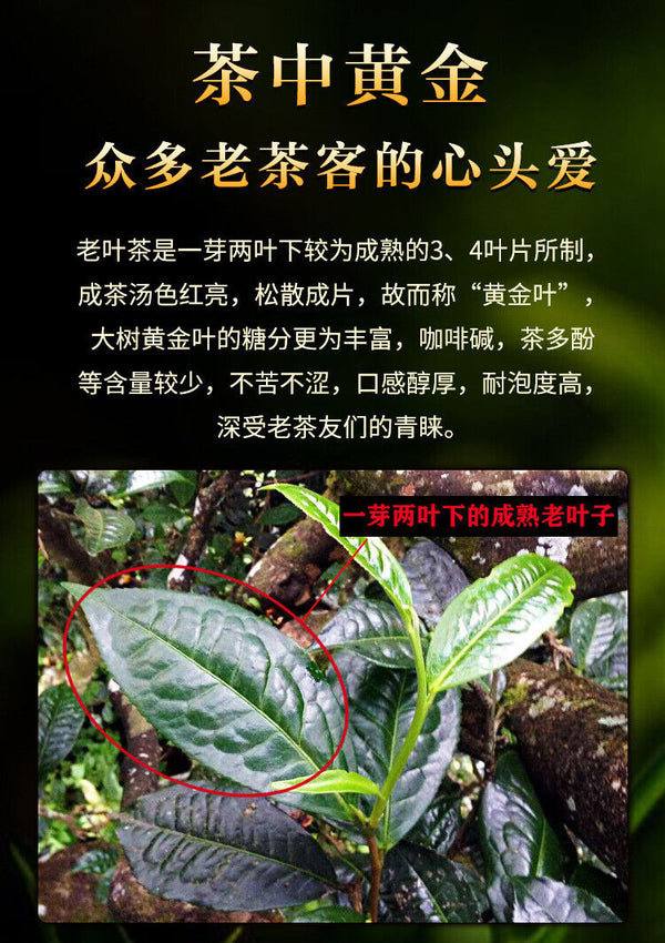 Yunnan Pu'er Old Ripe Tea 200g Yiwu Ripe Tea