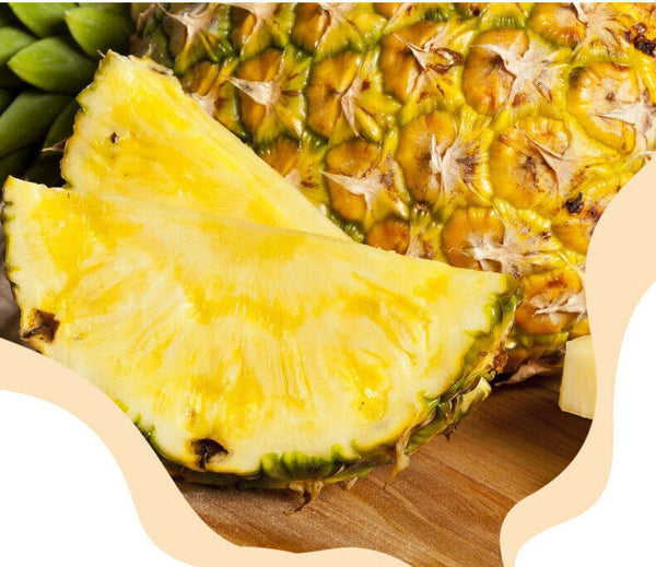 Candied Fruit Treat Dried Pineapple Slices 80g Individual Pack Healthy Snack