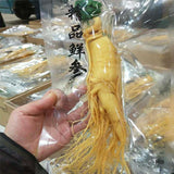 Good for Wine Soaking and Soup Premium Fresh Wild Ginseng from Changbai Mountain