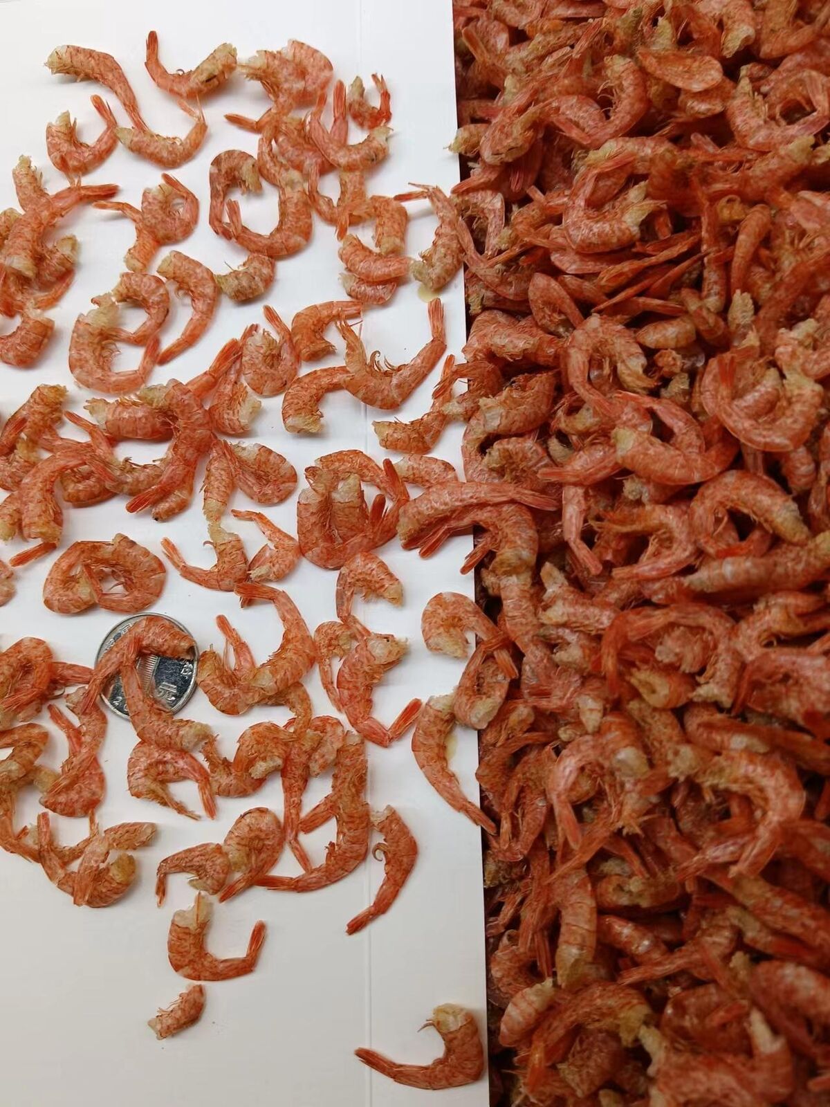 Flussgarnelen getrocknete Garnelen Schwänze Hunan Spezialität Kopf- und Salzfrei