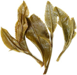 30pcs 8g Jasmine Pearls Tea Jasmine Tea Loose Leaf Jasmine Green Tea