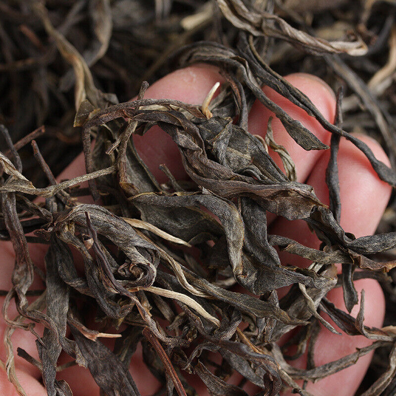 Yunnan Puerh Tea Xiaotousai Dashu Old Tree Puerh Raw Tea 500g Loose Tea