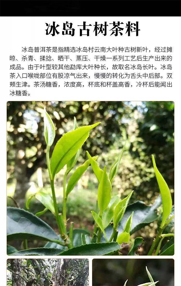 100g Yunnan Pu'er Tea Icelandic Raw Tea Cake Seven Seed Cake Tea Raw Pu'er Tea