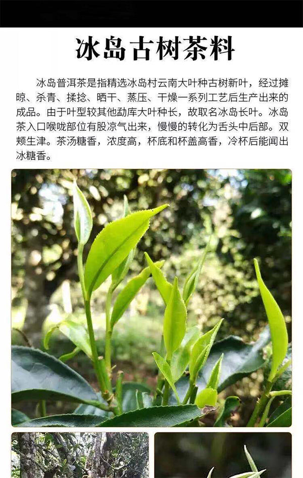 100g Yunnan Pu'er Tea Icelandic Raw Tea Cake Seven Seed Cake Tea Raw Pu'er Tea