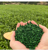 500g  Green Tea Bulk Strong Flavour Premium Anxi Tieguanyin Tea New Oolong Tea