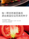 9g*100 Bags Tomato Sauce Tomato Sauce Small Bag French Fries, Pasta Snack Sauces