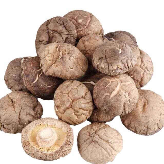 Wild Shiitake Mushrooms Dried Wholesale Bulk Fresh Aroma Cooking Ingredients Main image