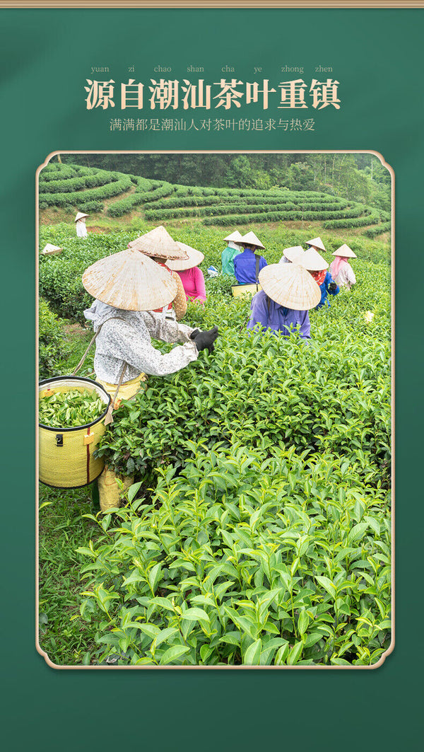 Phoenix Single Fir Tea Honey Orchid Fragrance Strong Adirondack 500g