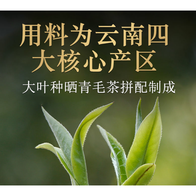 Xiaguan Tuo Cha Shen Pu-erhChaPu'er Tea Puer Tea100g/Box Dali Tuocha