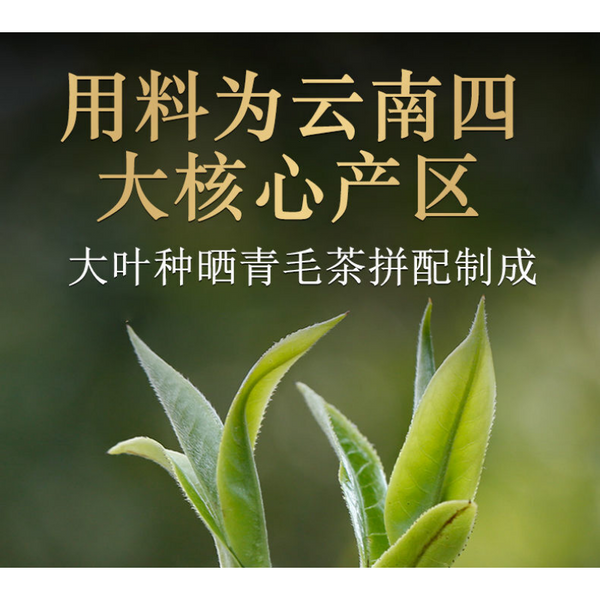 Xiaguan Tuo Cha Shen Pu-erhChaPu'er Tea Puer Tea100g/Box Dali Tuocha