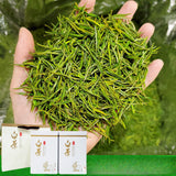 2023 New Tea White Tea Green Tea Mao Feng Type White Leaf Tea Tin 500g/1.1lb