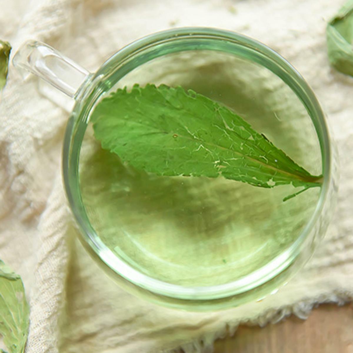 Stevia Leaf Tea Flower Tea Low Sugar Tea Natural Sweet Substitute Scented Tea