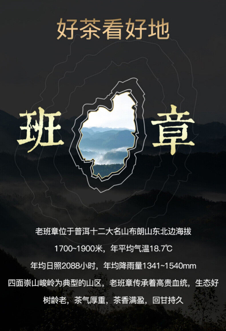 Yunnan Aged Ancient Tree Tea Leaves Lao Ban Zhang Puerh Tea Cake Ripe Puerh 357g