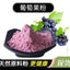 Pure Natural Grape Powder Concentrated Powder Solid Beverage Fruit Powder