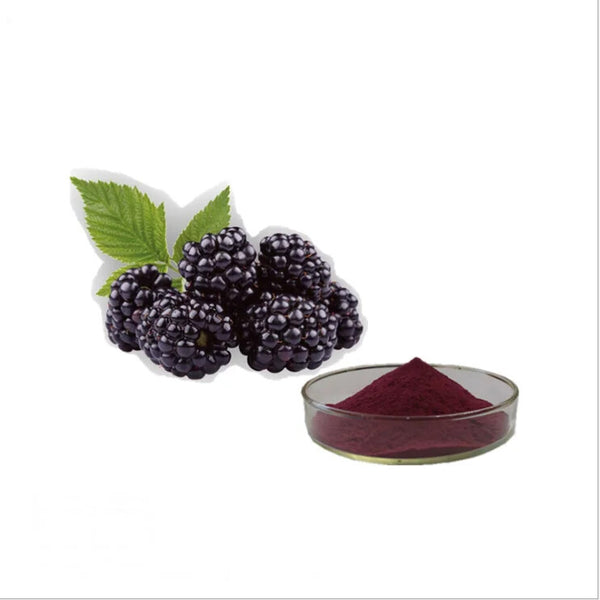 ISO Zertifikat Maulbeeren Pulver Maulbeeren Frucht Pulver Extrakt für Getränk