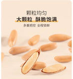 Large Pine Nuts 2024 Fresh Hand-Picked Healthy Nut Snack