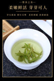 Longjing Tea Green Tea 2024 New Tea Bean Fragrance Authentic High End Gift Tea
