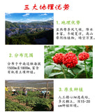 Yunnan Wenshan Specialty Panax Notoginseng Powder Ultrafine Powder 100g Canned