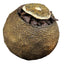 Little Green Mandarin Crushed Stone Tea Pu'er Tea Tangerine Peel Pu-Erh Tea 500g