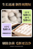 Curd Cooking Powder Moldy Tofu Ferment 3g 20 Bags Natural Culture Starter