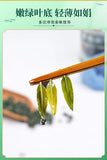 125g/Can Lobelia Tea First Crop of Young Shoots Authentic New Buds Lobelia Leaf
