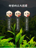 357g Yunnan Pu'er Tea Cake Brown Mountain Raw Tea Ancient Tree Yunnan Tea Cake