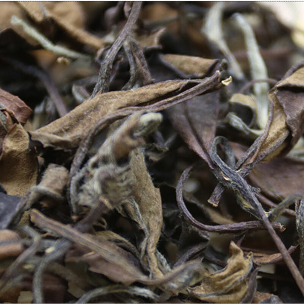 500g Fuding White Tea Healthy Drink Gaoshan Bulk Date Aroma Shoumei White Tea