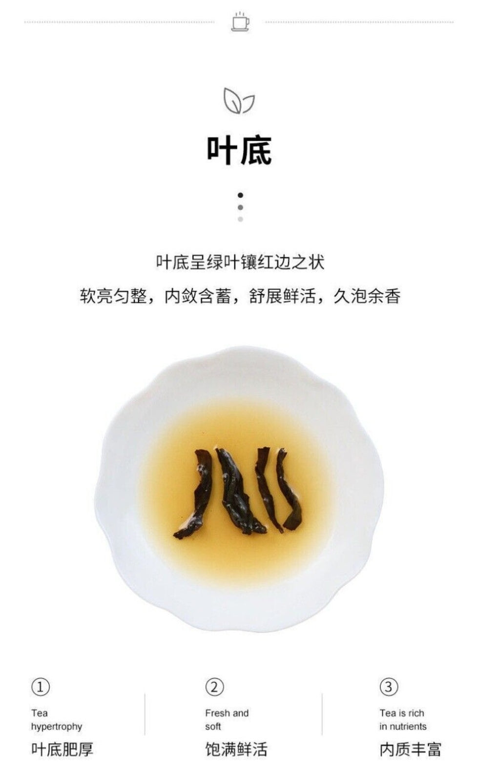 Authentic Wuyi Oolong Tea Loose Leaf Daily Use High Mountain Yancha 50g