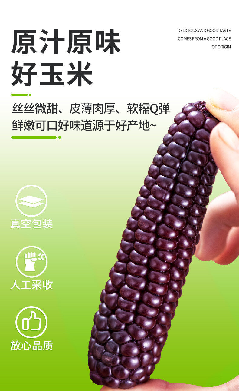 Purple Glutinous Corn Gift Box – Yunnan Specialty Sweet & Soft Corn Main image