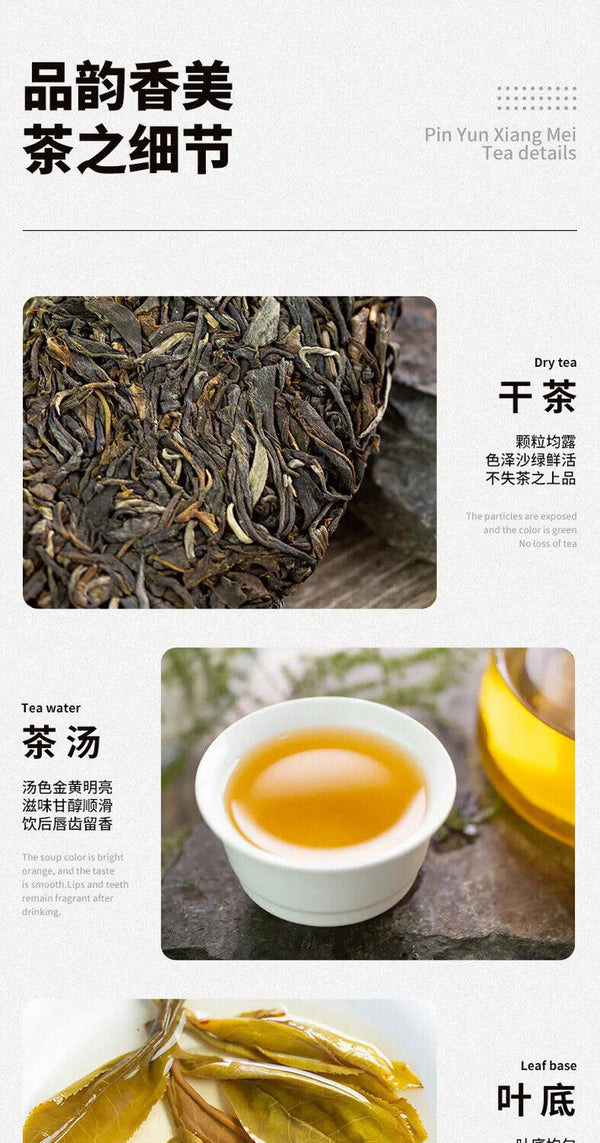 Yunnan Xigui Ancient Tree Puerh Tea Spring Tea 357g