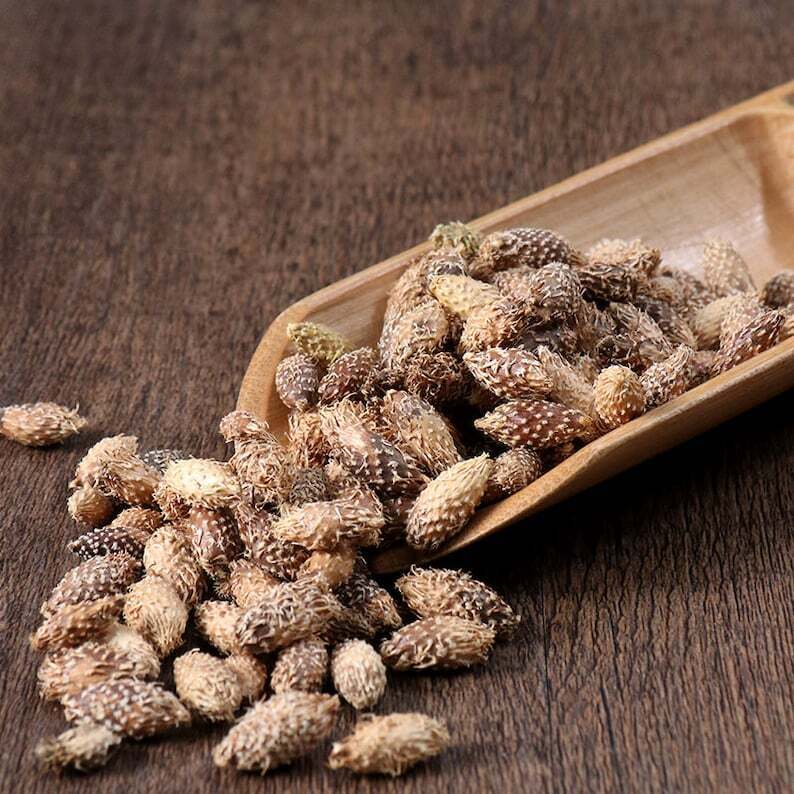 Dried Siberian Cocklour Fruit, Fructus Xanthii, Xanthium Sibiricum, Cang Er Zi Secondary image
